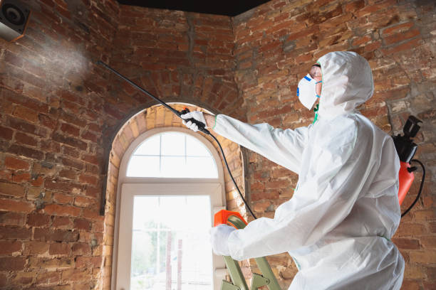 Mold Remediation for Vacation Homes in Robesonia, PA